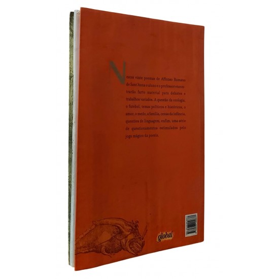 A Implosão da Mentira e Outros Poemas, Affonso Romano de Sant'Anna