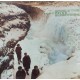 Cd Echo and The Bunnymen, Porcupine (Importado Alemanha)