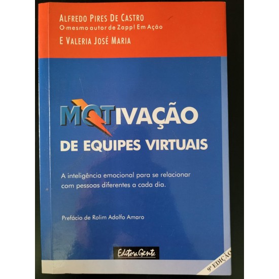 Motivação de Equipes Virtuais, Alfredo Pires de Castro e Valéria José Maria