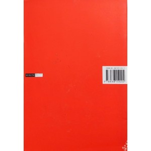 O Gato de Sapatinhos Vermelhos, Sheilla Alves. Ilustrações Veridiana Gaio de Magalhães