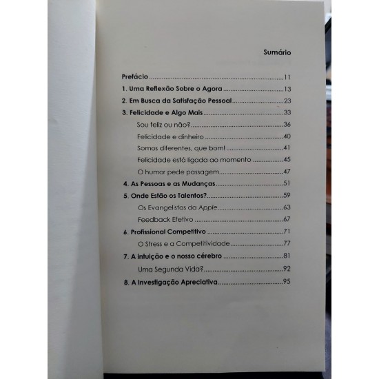 Perspectivas do Agora. Criando Estratégias Positivas para Desenvolvimento e Transição de Carreira, Renato Ricci