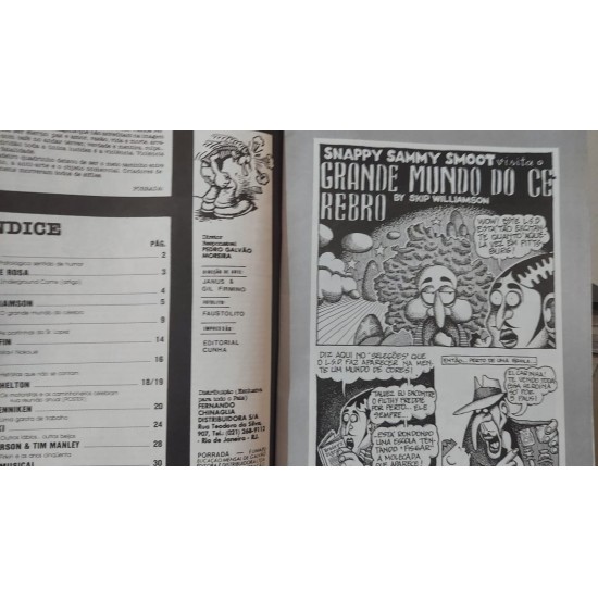 Porrada, Uma Revista Muito Louca, Ano 1, Numero 2