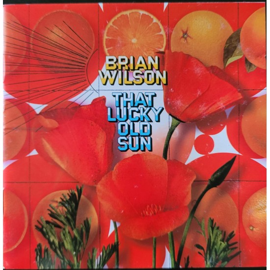 Cd Brian Wilson, That Lucky Old Sun